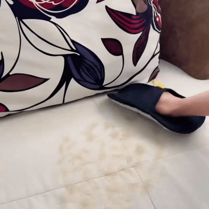 PawziCleaner™ — Fast & Easy Pet Hair Cleaner